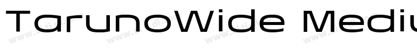 TarunoWide MediumIta字体转换